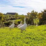 Le Bouton D'or 8min Puy Du Fou בית נופש