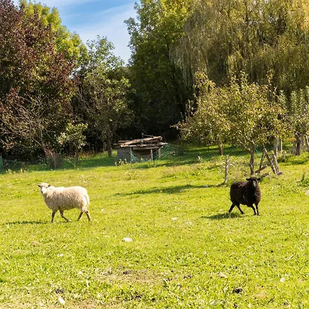 בית נופש Le Bouton D'or 8min Puy Du Fou *