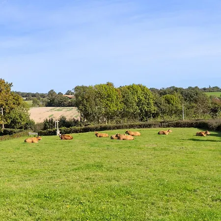 Semesterbostad Le Bouton D'or 8min Puy Du Fou *