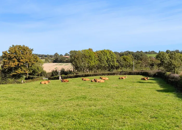 Casa de Férias Le Bouton D'or 8min Puy Du Fou Chambretaud